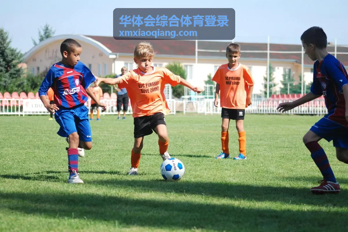 华体会综合体育登录 常见问题解答配图